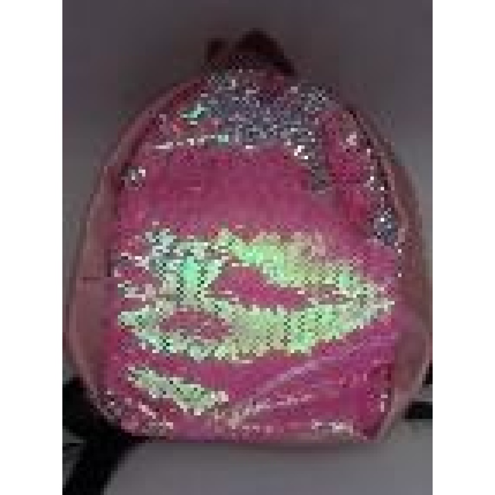 BOLSO DE DAMA