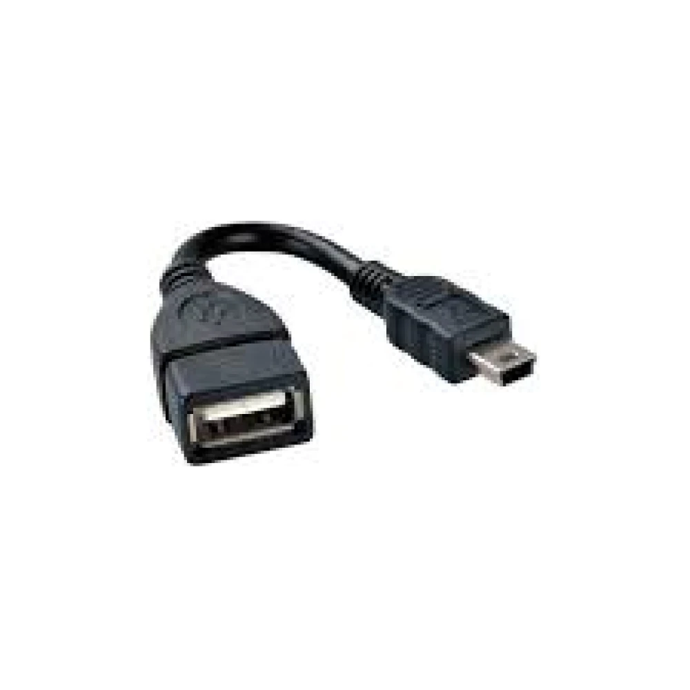 Cable Adaptador V3 Otg Mini Usb A Usb Hembra Orinoco Chery