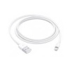 PASTH CORD CABLE LAN RJ45